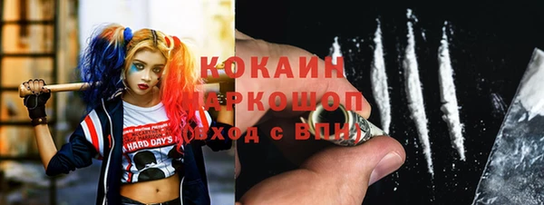 шишки Алексин