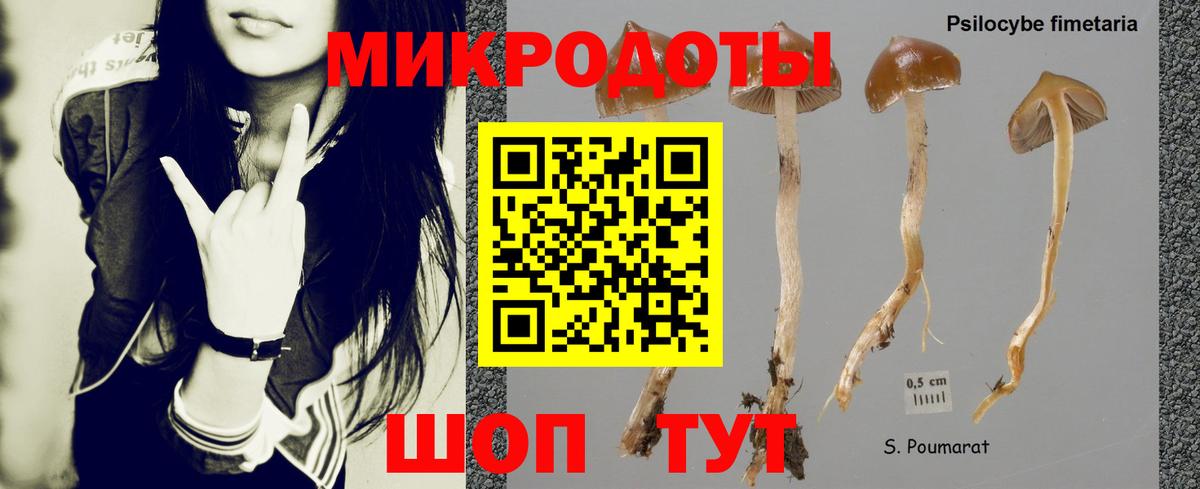 Галлюциногенные грибы ЛСД Курганинск